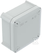 CXP293