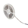Taśma LED LEDS-B14,4W/M IP54RGB