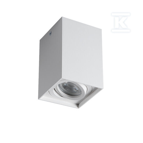 DLC024