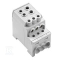 Zacisk rozdziału potencjału, złącze śrubowe, Jasnoszary, 70 mm2, 200 A, 1000 V, liczba przyłączeń: 8, liczba poziomów: 1, WPD 110 1X70+1X35/6X16 GY
