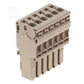 Wtyczka (terminal), złącze sprężynowe, 4 mm2, 32 A, 800 V, liczba przyłączeń: 6, Liczba biegunów: 6, Szerokość: 39 mm, ZP 4/1AN/6