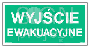 Wyjście ewakuacyjne, 20 x 10 cm, TS - płyta TD fotoluminescencyjna