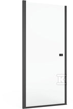 DBI529