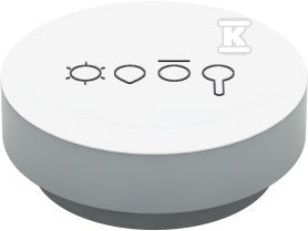 Multisensor z podstawką magnetyczną Typ: Rcm-21