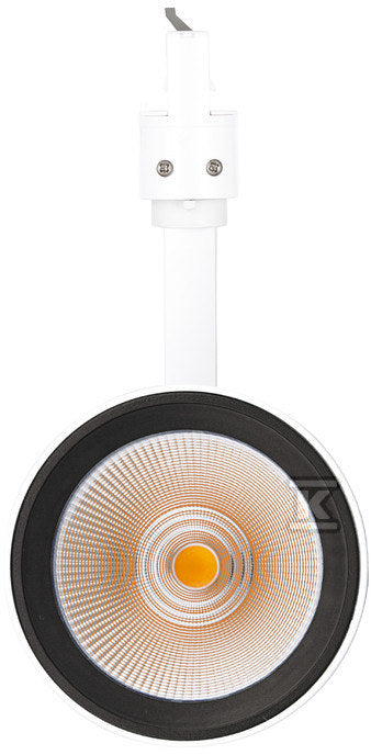 CGI029