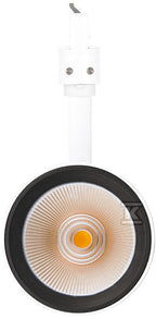 CGI029
