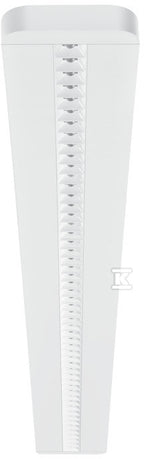 CGI036