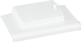 CSS892