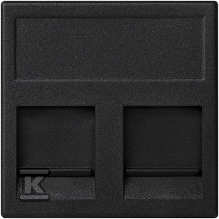 Płytka K45, 2x RJ z osłoną, PANDUIT, szary grafit, CONNECT