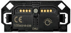 CSS291