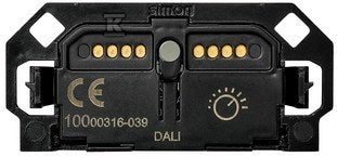 CSS291