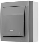 Łącznik krzyżowy natynkowy z podświetleniem, IP44, 10 AX, 250 V~, zaciski śrubowe, czarny, AQUACLICK