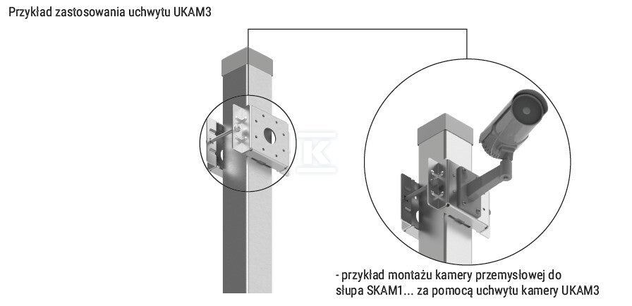 DKS099